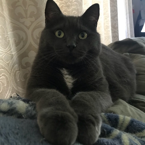 Meet your Posher, Amanda - Picture 1 of 1